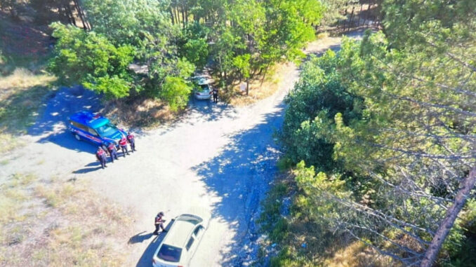 ankara-valiliginden-orman-yangini-tedbirleri-AAqudHBs.jpg