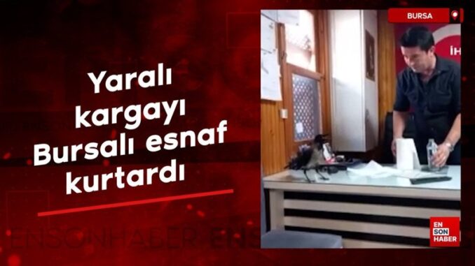 yarali-kargayi-bursali-esnaf-kurtardi-uf6sXZSn.jpg